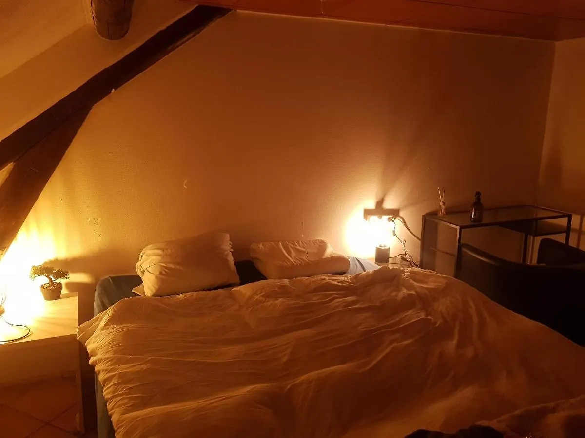 Homestay Van Helsing Esch-sur-Alzette Luxembourg