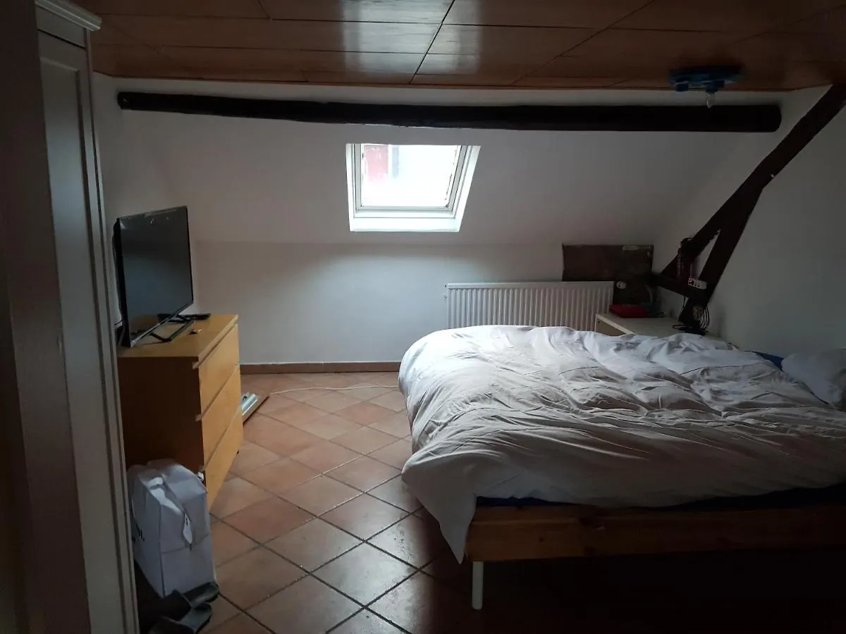 Van Helsing Esch-sur-Alzette Homestay