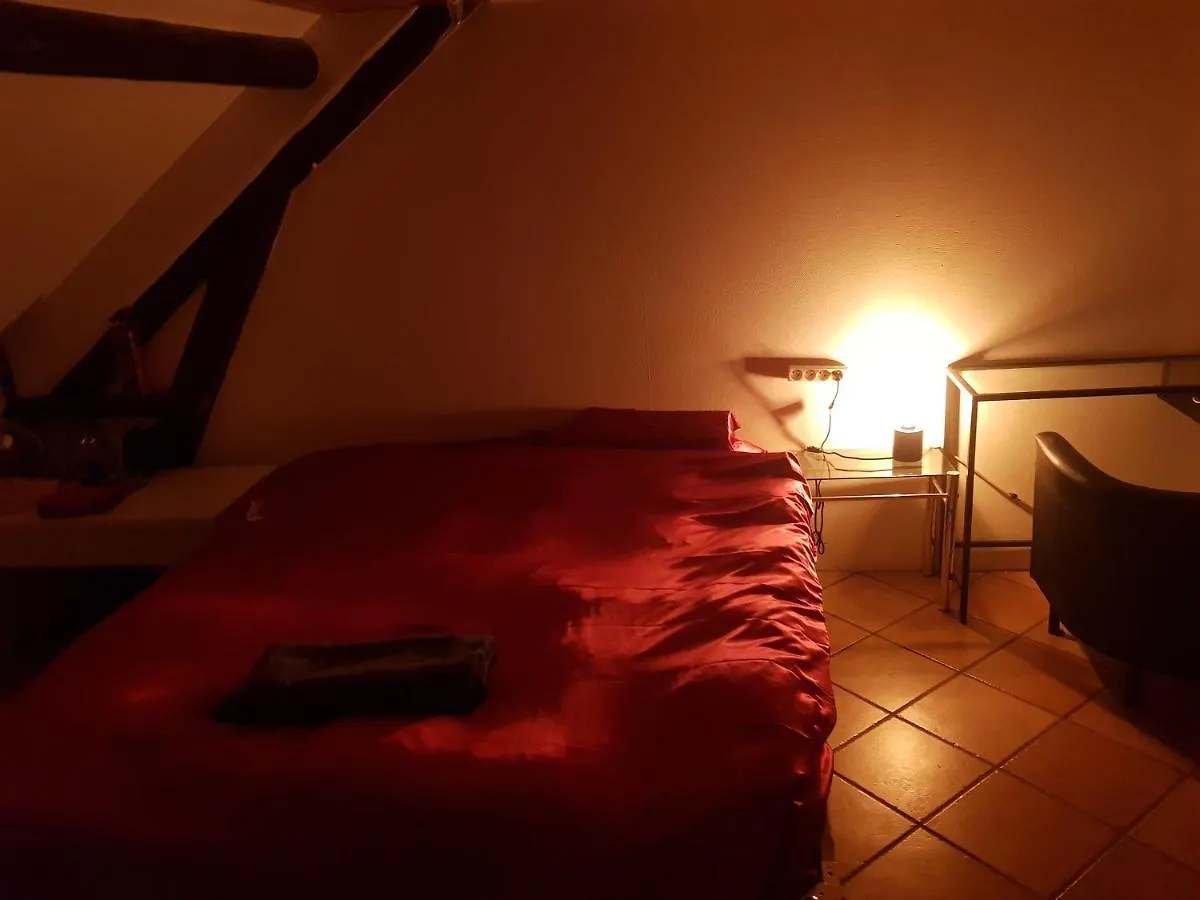 Van Helsing Esch-sur-Alzette Homestay